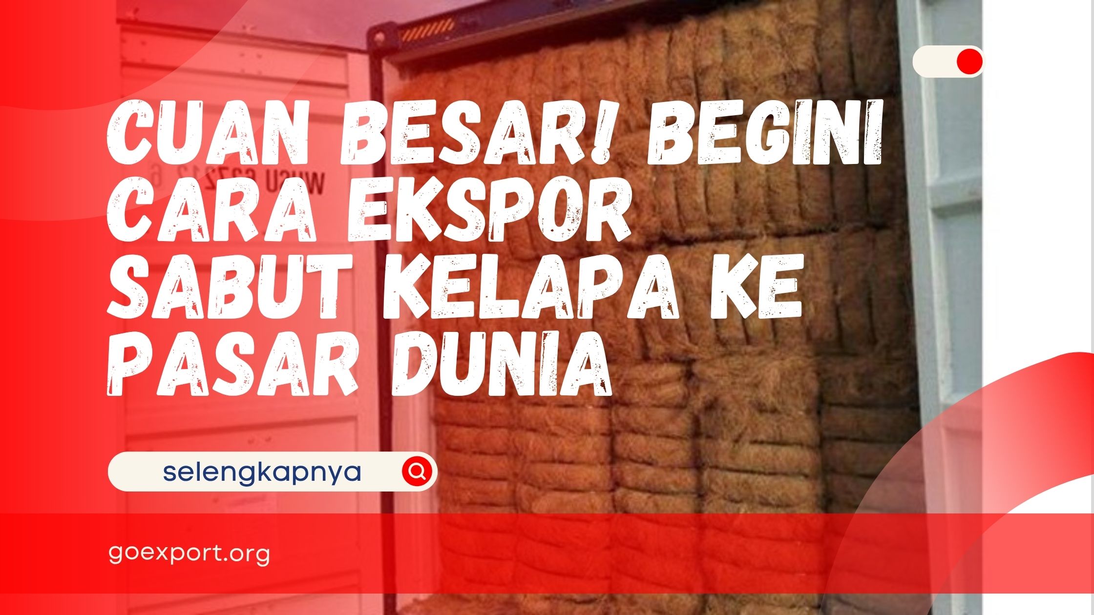 Cuan Besar! Begini Cara Ekspor Sabut Kelapa ke Pasar Dunia