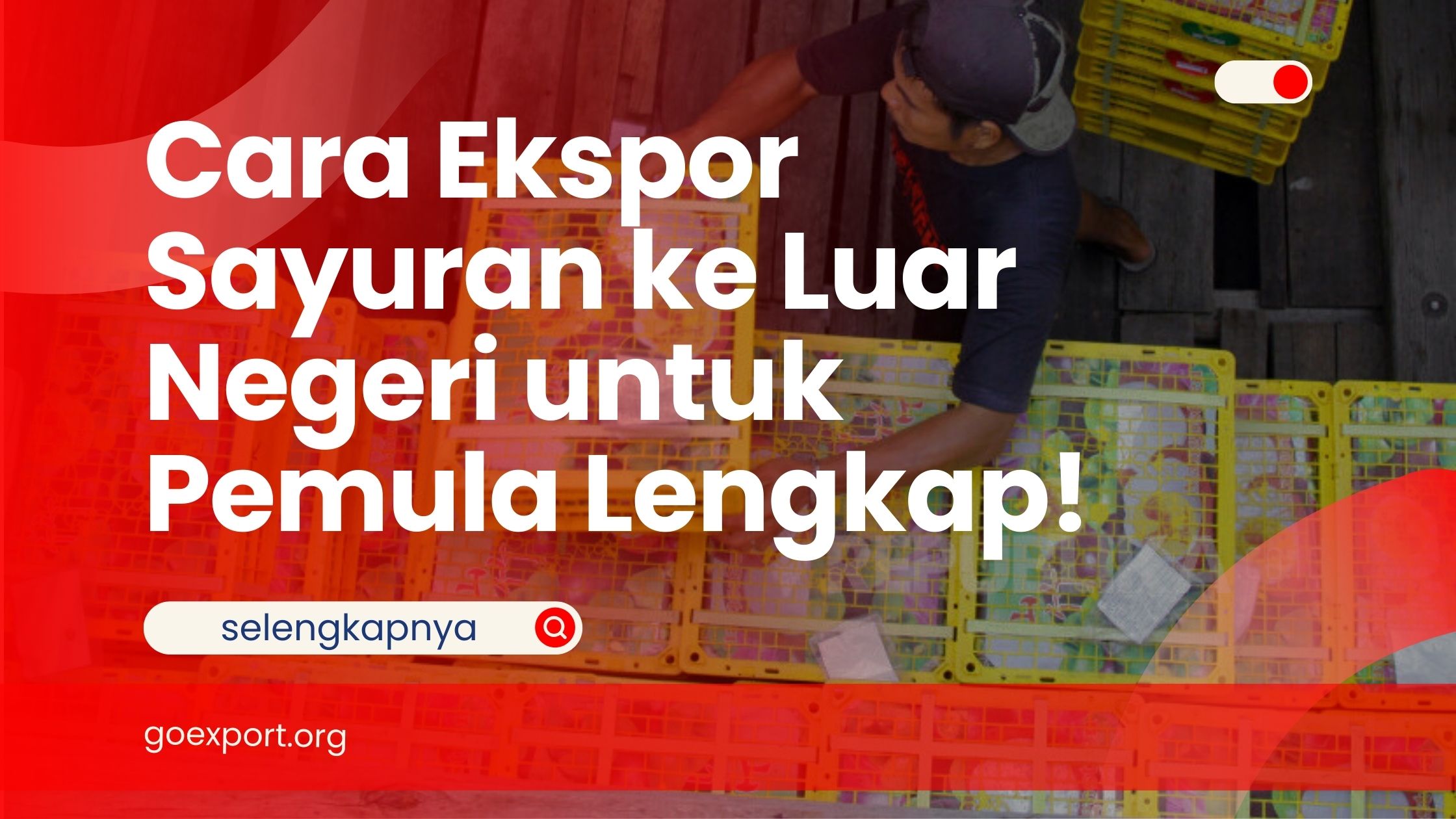 Cara Ekspor Sayuran ke Luar Negeri untuk Pemula Lengkap!