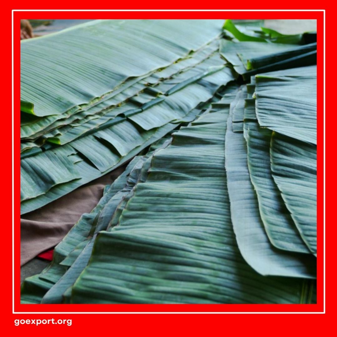 Cara Ekspor Daun Pisang