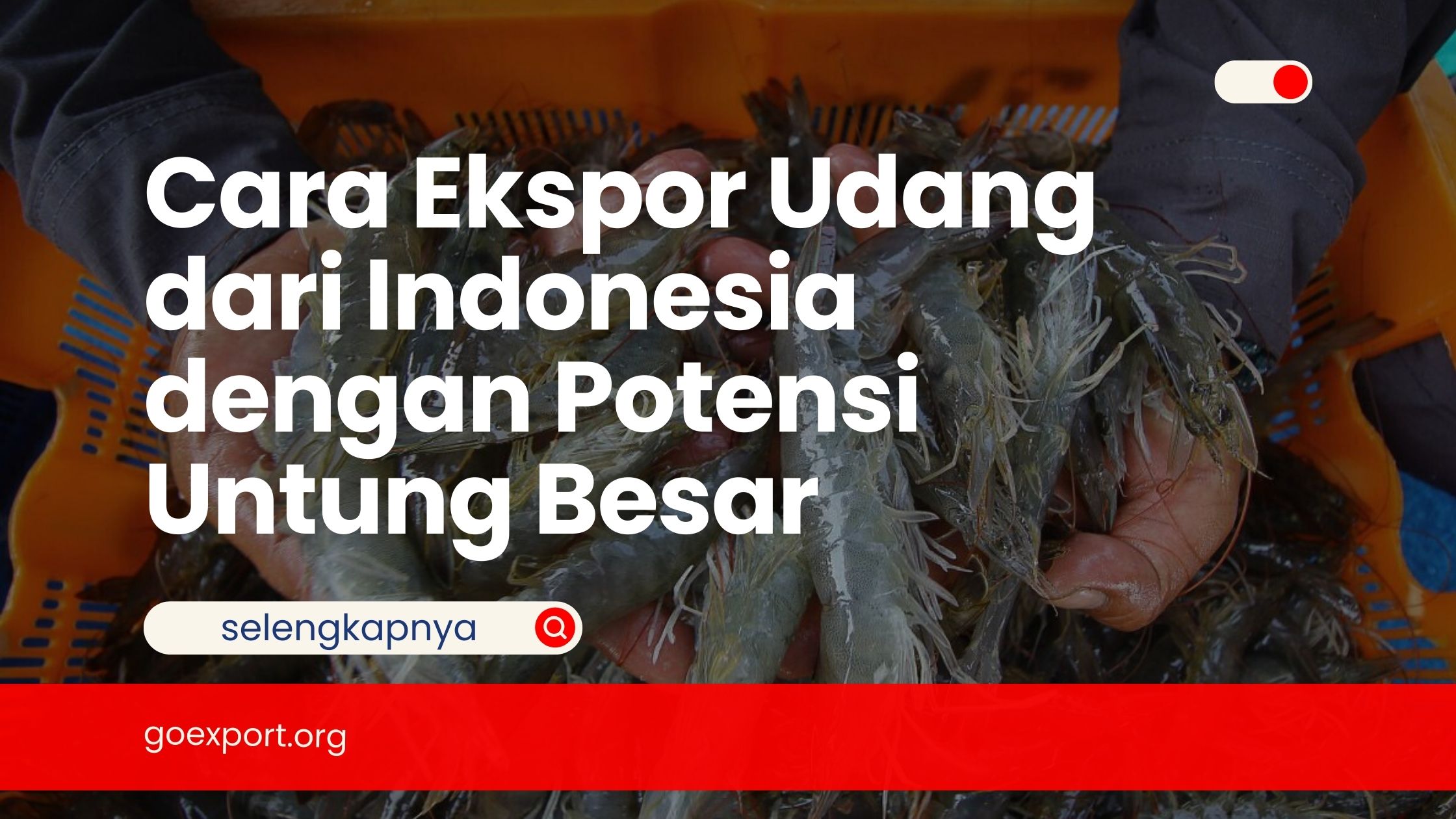 Cara Ekspor Udang dari Indonesia dengan Potensi Untung Besar
