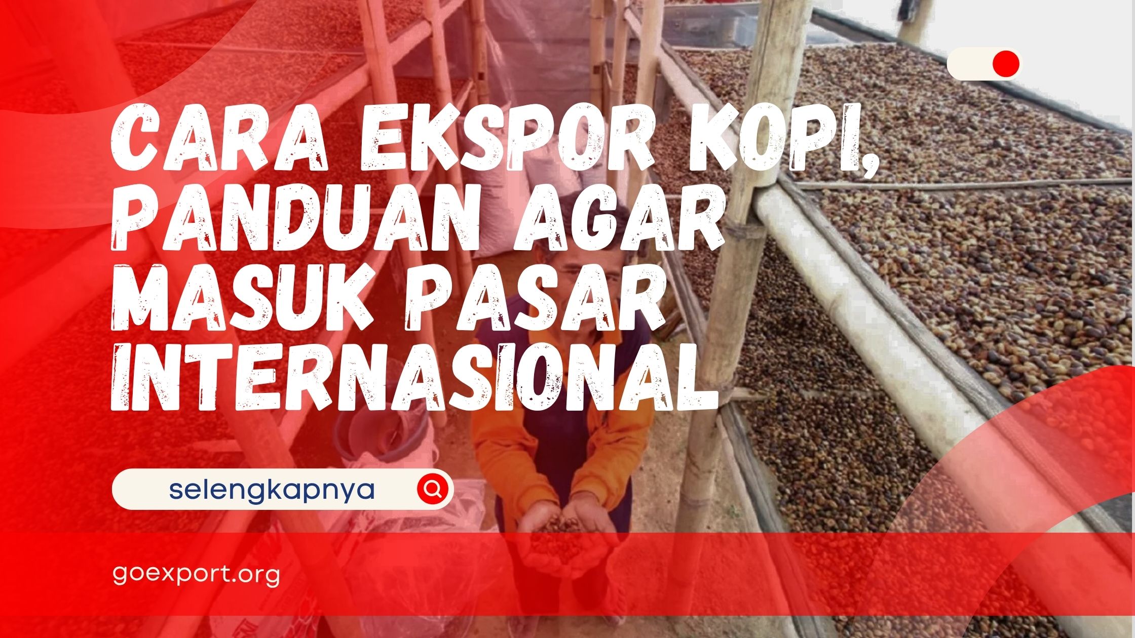 Cara Ekspor Kopi, Panduan Agar Masuk Pasar Internasional